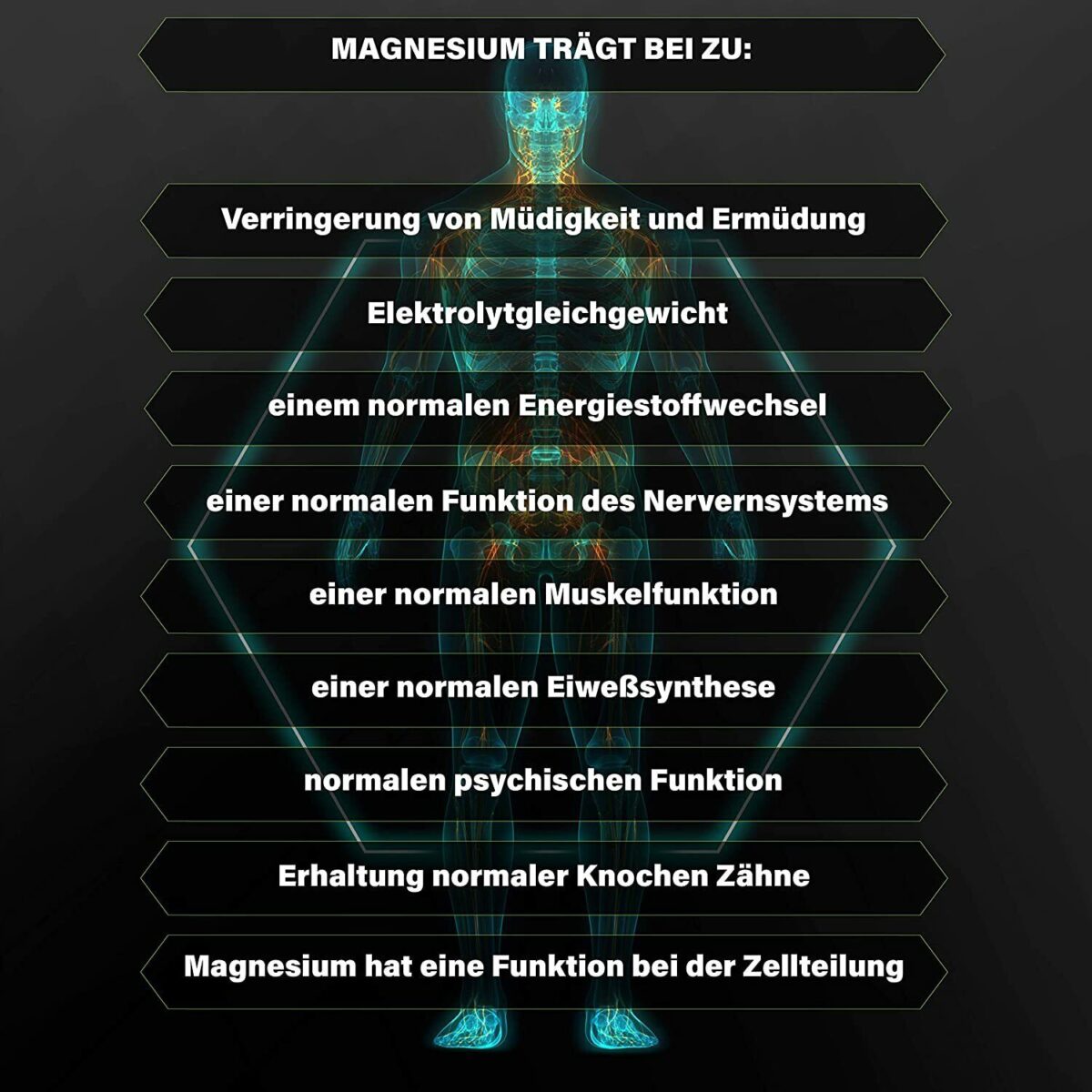 365 Magnesium Kapseln Hochdosiert | Made in Germany I hoch Bioverfügbar I VEGAN